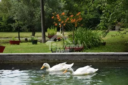 Gradske lokacije | 4zida.rs