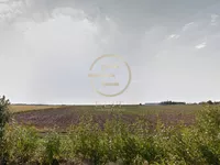 Čenej, Okolne lokacije, Novi Sad | 4zida.rs