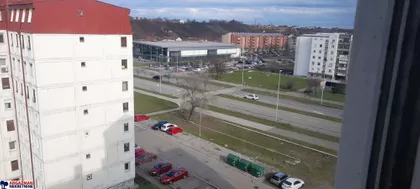 Dr Ivana Ribara | 4zida.rs