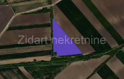 Boljevci | 4zida.rs