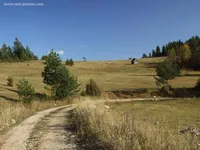 Plac | 4zida
