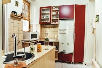 Bajlonijeva Pijaca | 4zida.rs