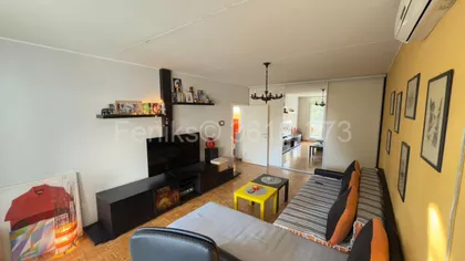 Dr Ivana Ribara | 4zida.rs