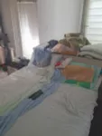 Avijatičarsko Naselje, Gradske lokacije, Novi Sad | 4zida.rs | 4zida.rs