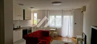 Nova Detelinara, Detelinara, Gradske lokacije, Novi Sad | 4zida.rs | 4zida.rs