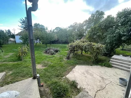 Mila Terzića | 4zida.rs