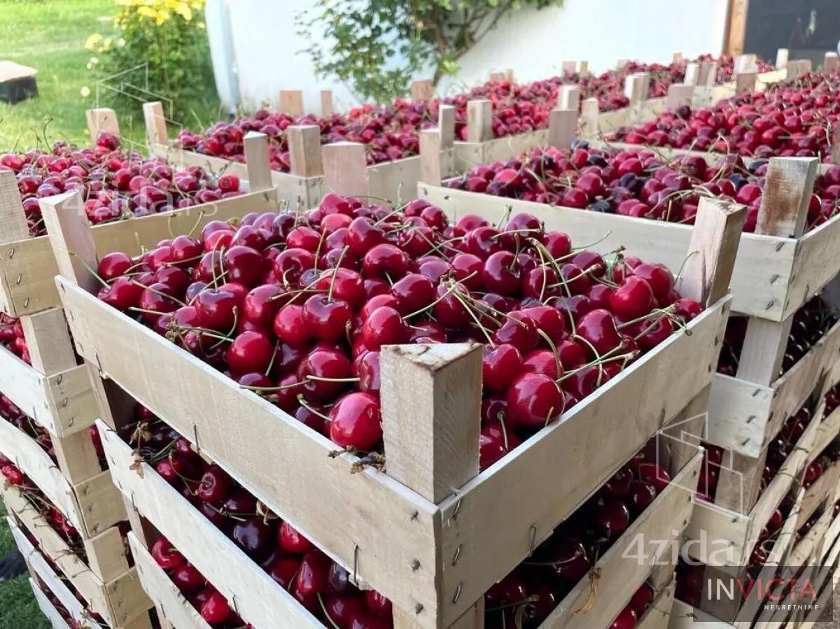 Poljoprivredno zemljište | 4zida