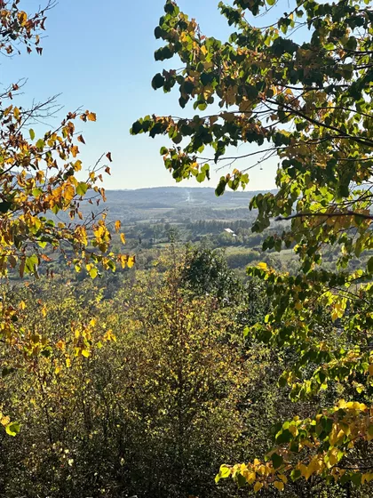 Nerezinska Ulica | 4zida.rs