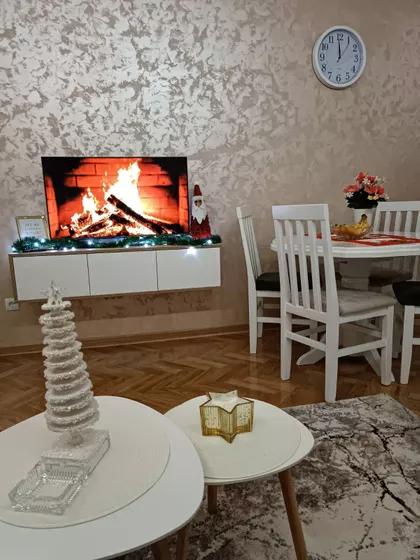Olimpijska | 4zida.rs