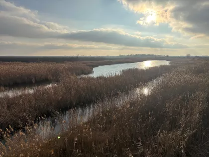 Srbobranski Put | 4zida.rs