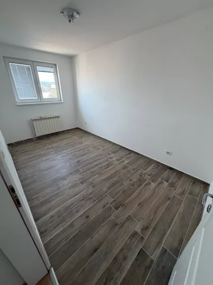 Luja Pastera | 4zida.rs