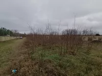 Makova Sedmica, Gradske lokacije, Subotica | 4zida.rs