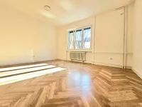 Stari Grad, Gradske lokacije, Novi Sad | 4zida.rs