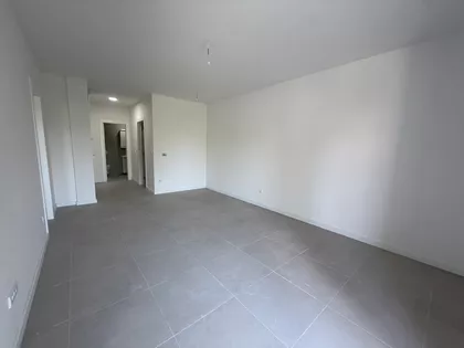 Jerneja Kopitara | 4zida.rs