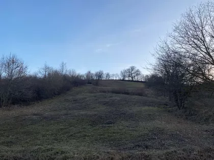 Velike Pčelice | 4zida.rs