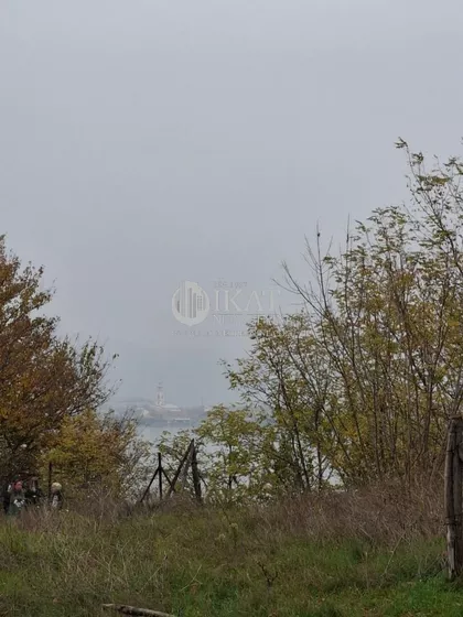 Cara Dušana | 4zida.rs