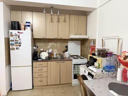 Miljana Miljanića | 4zida.rs