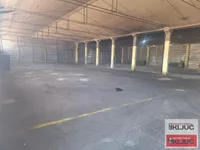 Hala | 4zida