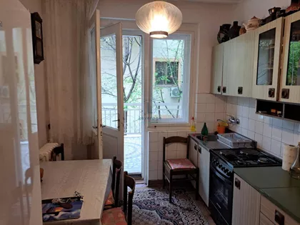 Sanje Živanovića | 4zida.rs