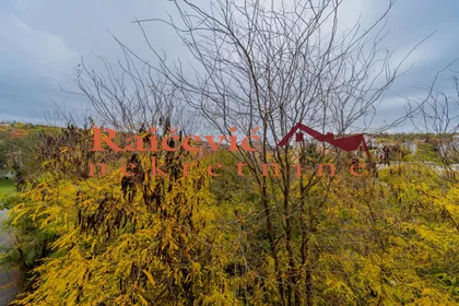 Milana Blagojevica Spanca | 4zida.rs