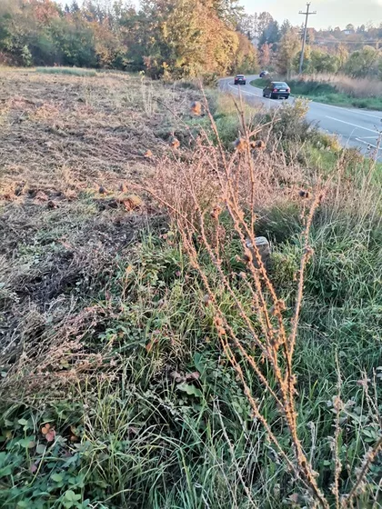 Kragujevacki put | 4zida.rs