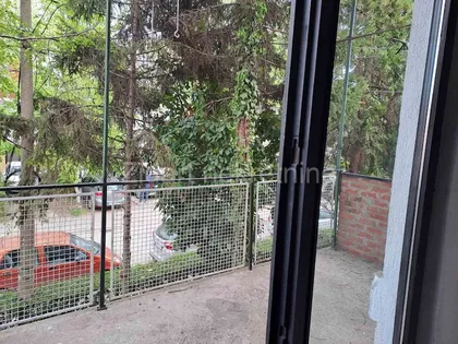 Save Maleševića | 4zida.rs