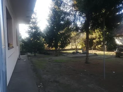 Palić | 4zida.rs