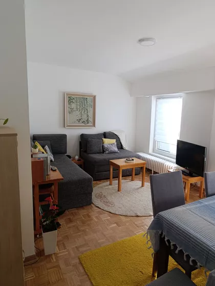 Dragoslava Srejovića | 4zida.rs