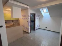 Stari Grad, Gradske lokacije, Novi Sad | 4zida.rs