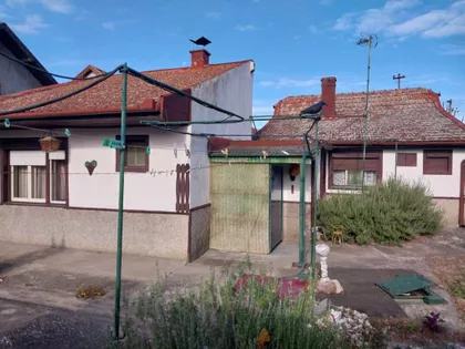 Srpski Šor | 4zida.rs