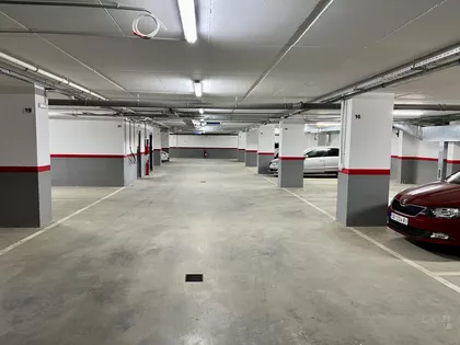 Lajoša Joa 48 | 4zida.rs