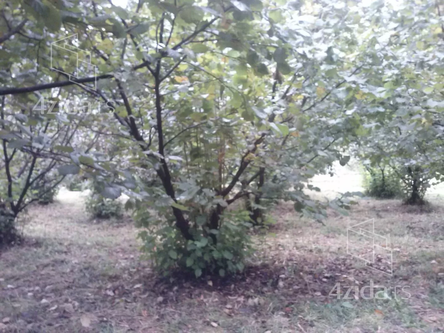 Poljoprivredno zemljište | 4zida