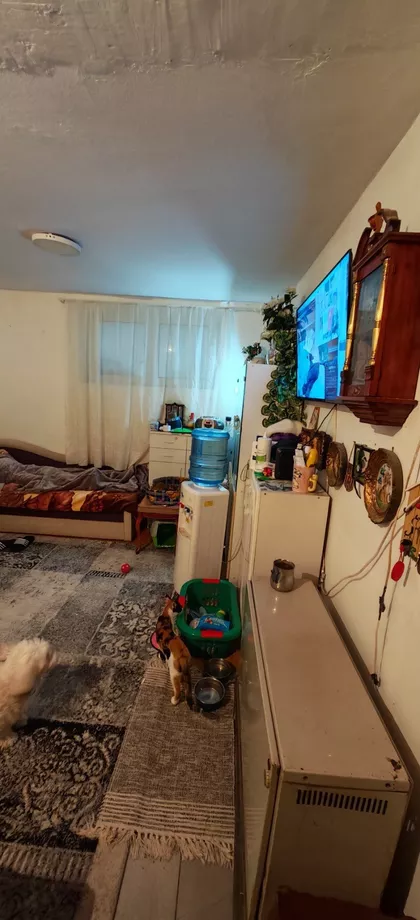 Dr Dragoslava Popovića | 4zida.rs