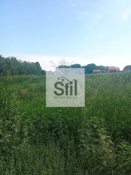Rumenka | 4zida.rs