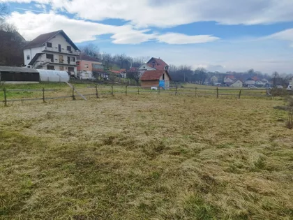 Toše Apotekara | 4zida.rs