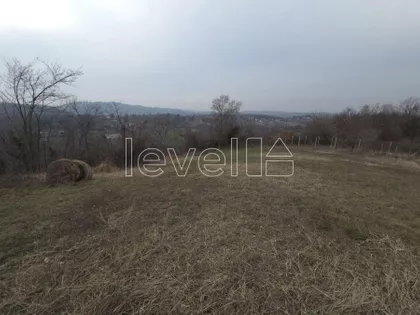 Alibegovac | 4zida.rs