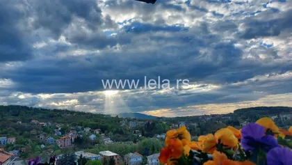 Mila Jelenkovića | 4zida.rs