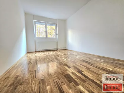 Cara Dušana | 4zida.rs