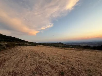 Oreovački | 4zida.rs
