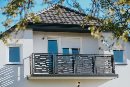 Zmaj Jovina | 4zida.rs