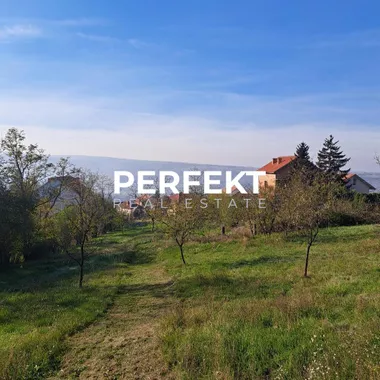 Resnik