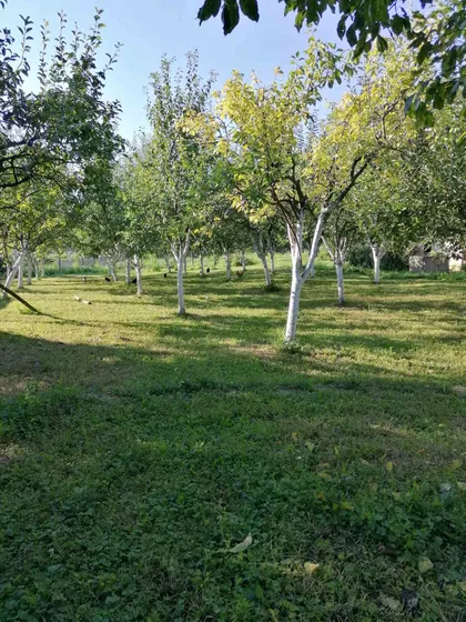 Levačka 42 | 4zida.rs