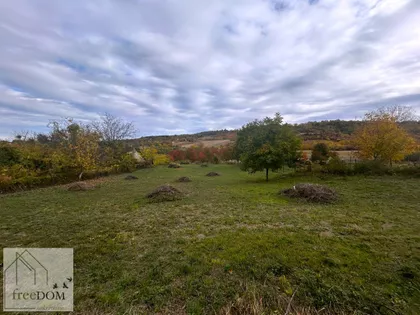 Sremska Kamenica | 4zida.rs