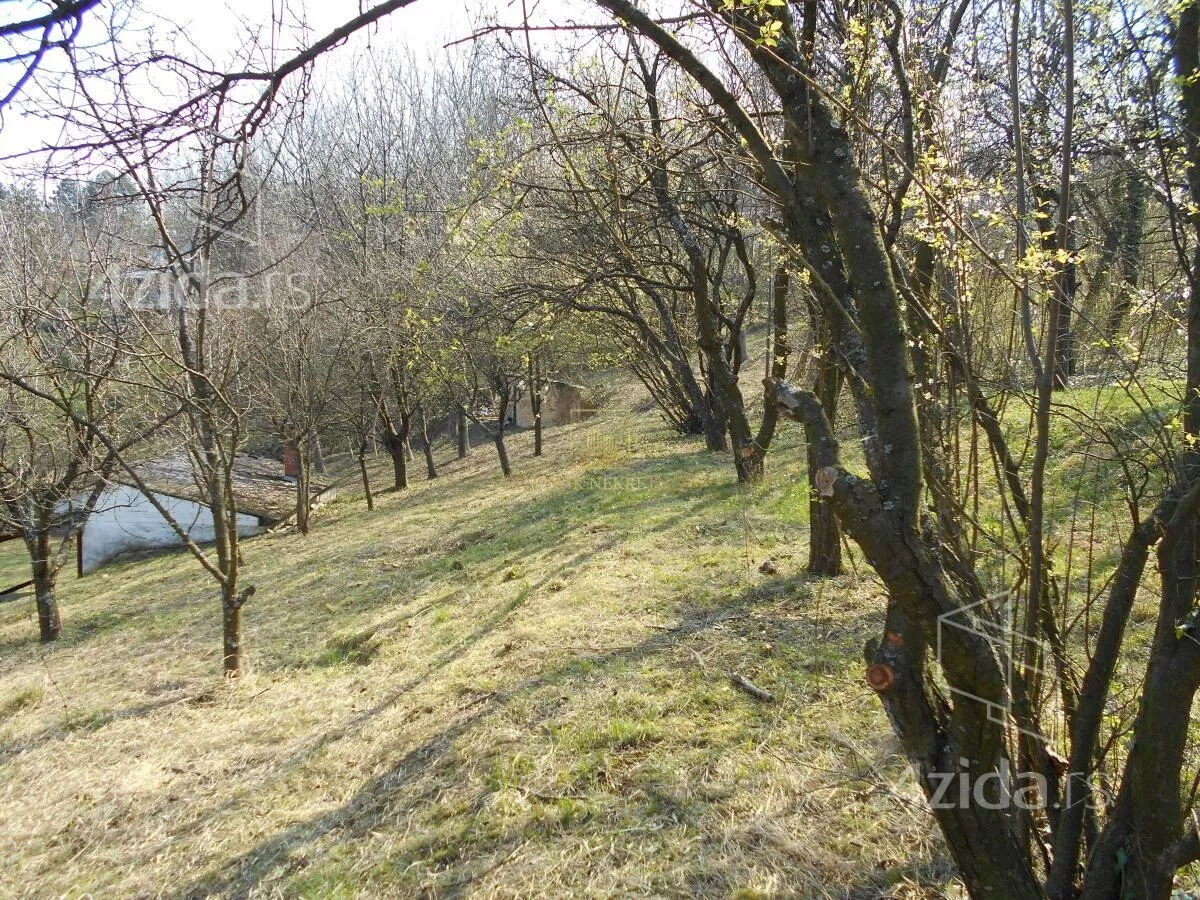Plac | 4zida