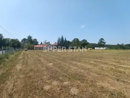 Kosmajska | 4zida.rs