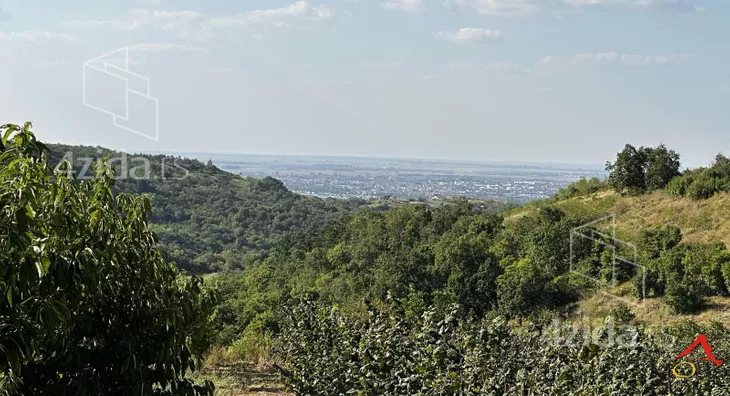 Plac | 4zida