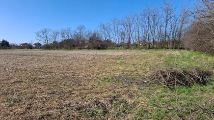 Jovana Cvijića | 4zida.rs