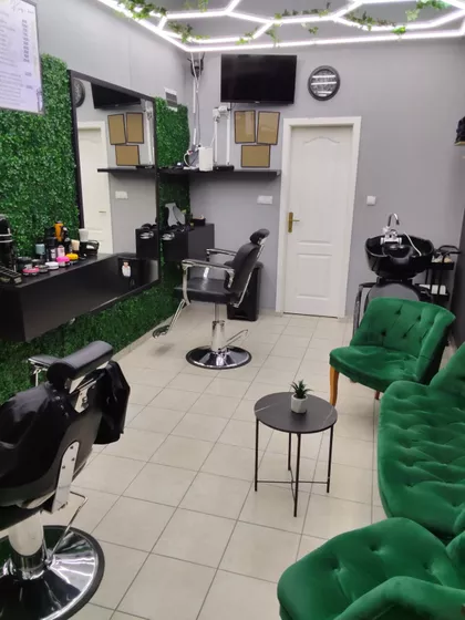 Dr Svetislava Kasapinovića | 4zida.rs