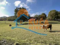 Gradske lokacije, Sremski Karlovci | 4zida.rs