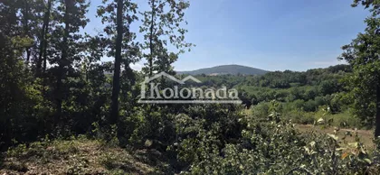 Nemenikuće | 4zida.rs